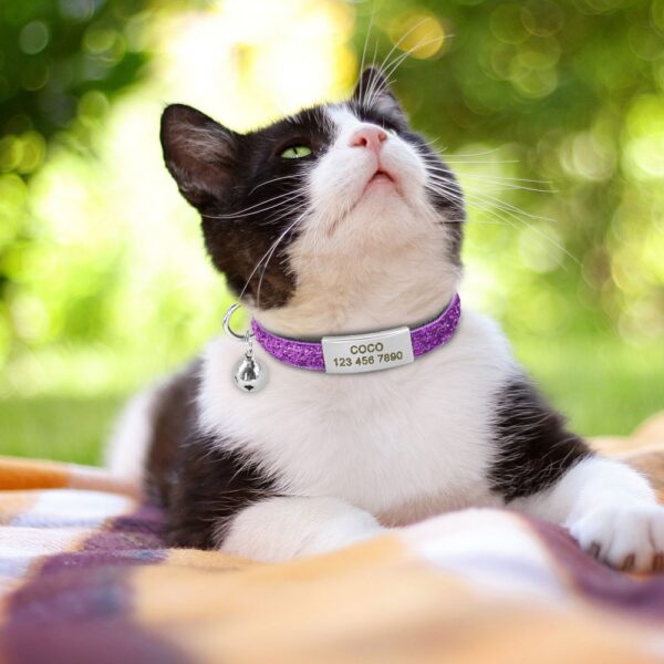 Cat Collar