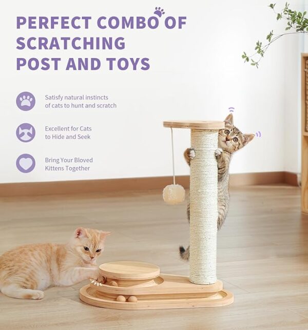 cat scratching post and cat toys