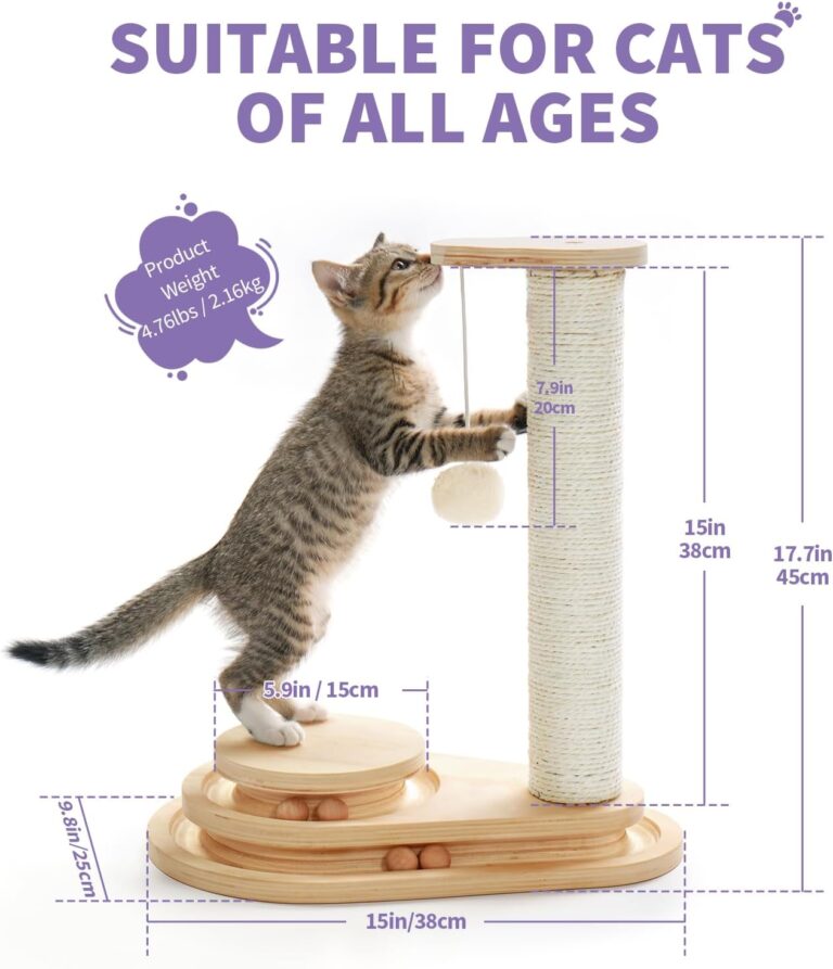 cat scratching post and cat toys