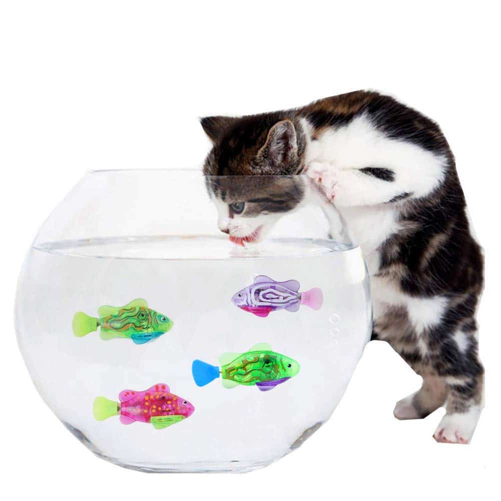 Electric LED Fish Toy for Cats