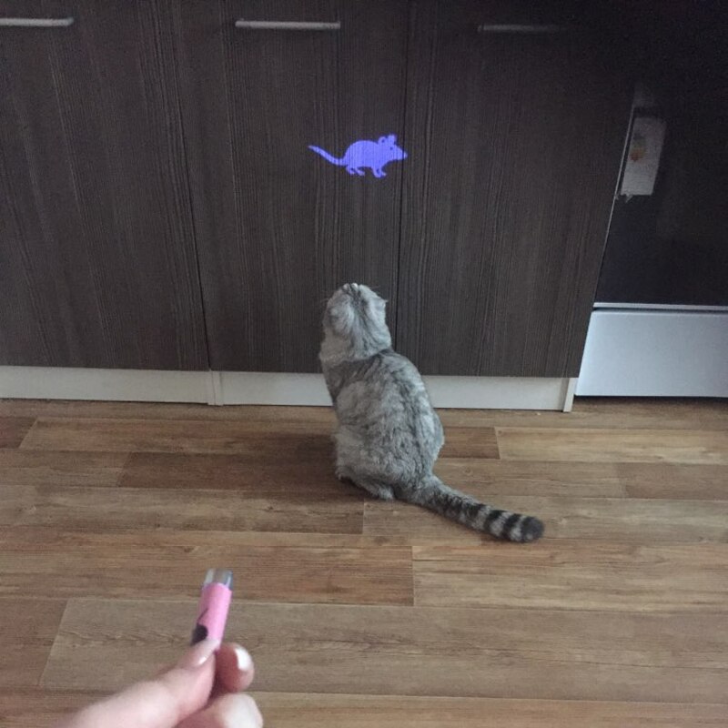 Illuminated Pen with Mouse Animation Projection