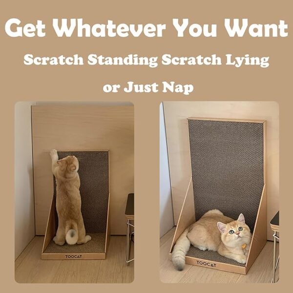 Large Scratchers for Indoor Cats