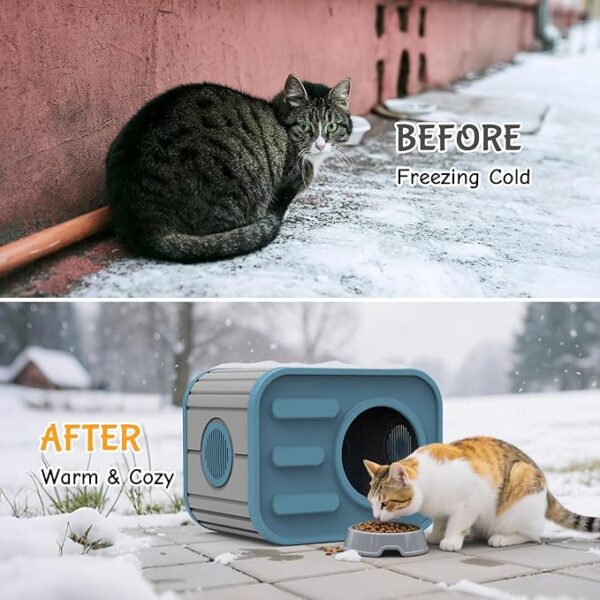Outdoor Cat House