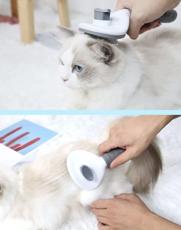 Professional Pet Grooming Brush4