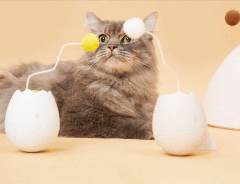 Smart interactive ball toy for cats5