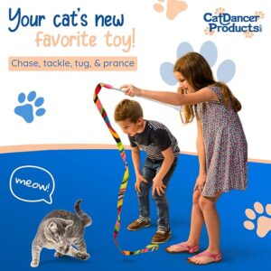 Cat Dancer Cat Charmer