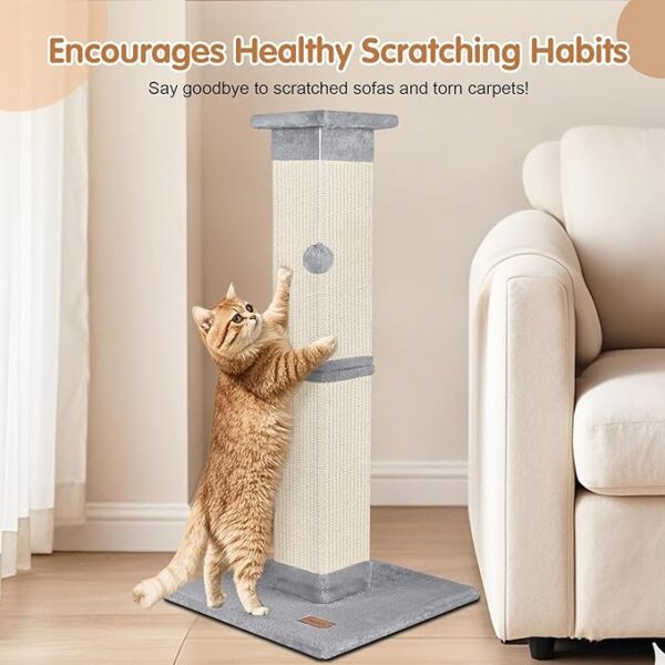 Cats scratching Post