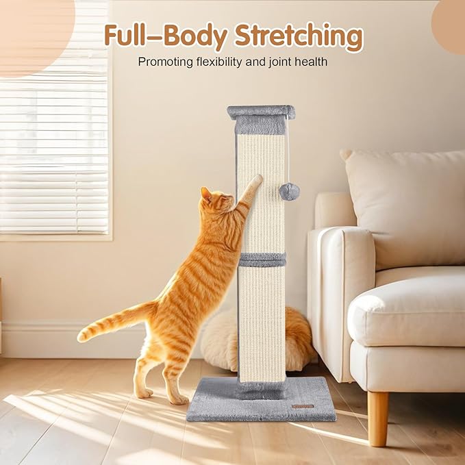 Cats scratching Post