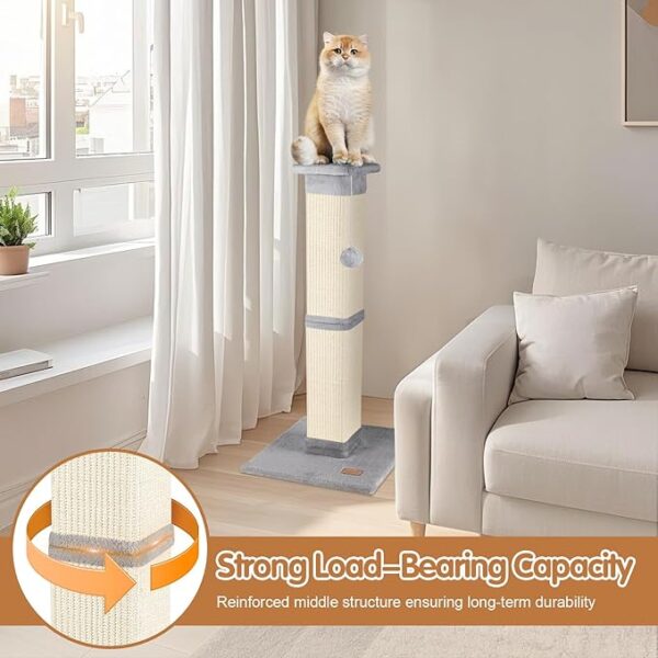 Cats scratching Post