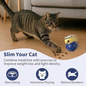 Puzzle & Treat Dispensing Toys