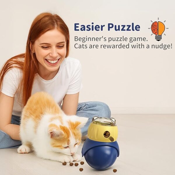 Puzzle & Treat Dispensing Toys