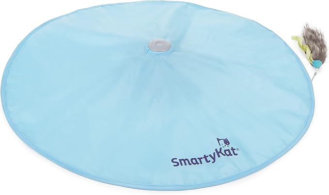 SmartyKat Hot Pursuit Electronic