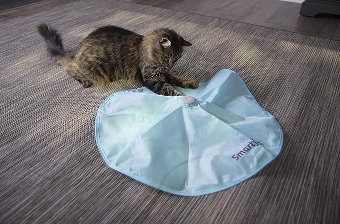 SmartyKat Hot Pursuit Electronic